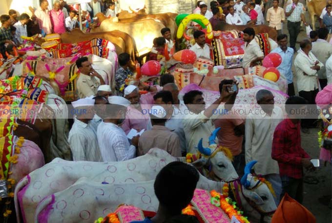 हिवरखेड येथे दरवर्षी प्रमाणे थाटाने पोळा साजरा