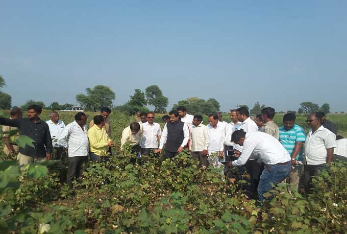 लोकराज्य