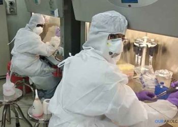 Researchers culture novel coronavirus