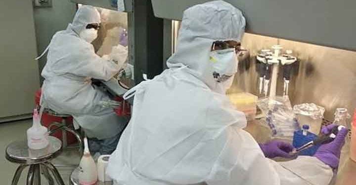 Researchers culture novel coronavirus