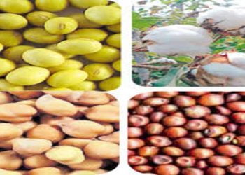 soyabean-cotton-crops