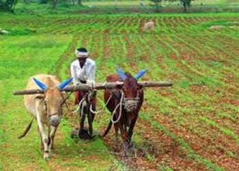 Farmer