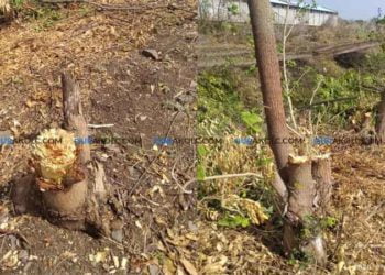 गाडेगाव