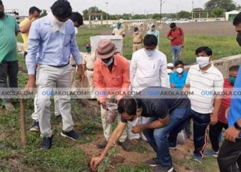 tree planting akola