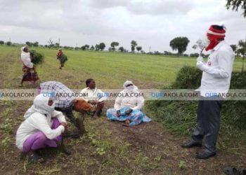 महाराष्ट्र राज्य किसान सभा