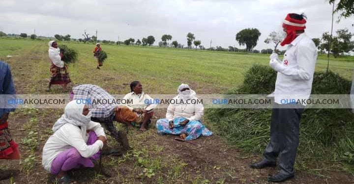 महाराष्ट्र राज्य किसान सभा