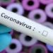 Corona Cases