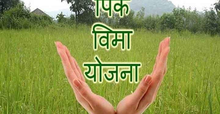 प्रधानमंत्री पिक विमा योजना