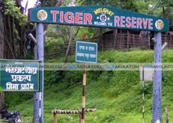 Melghat tiger project