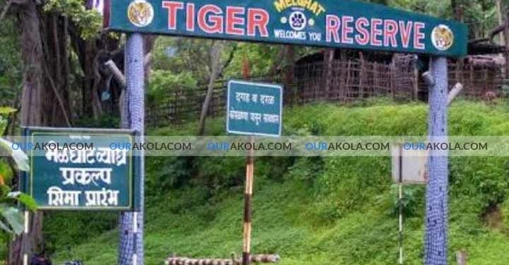 Melghat tiger project