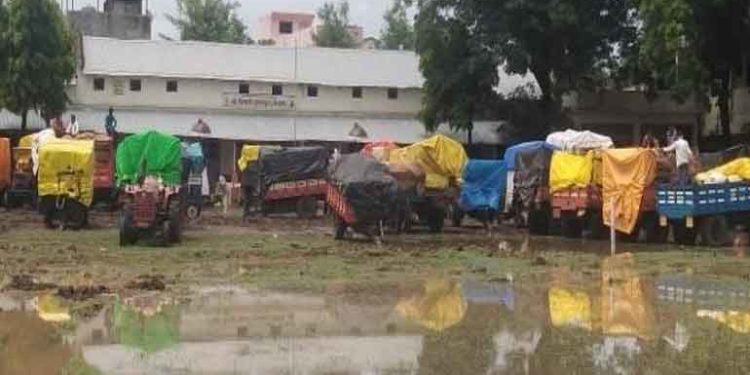 नाफेड केंद्र