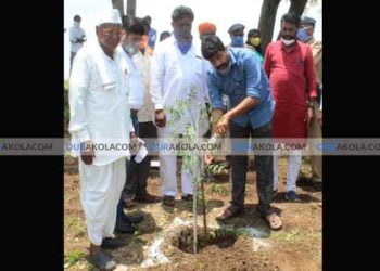 निंबवृक्ष लागवड