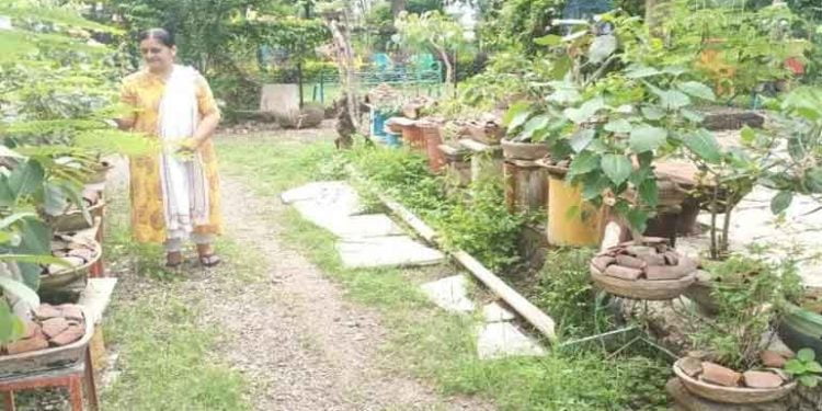 बोन्साय