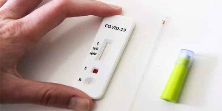 रॅपिड टेस्ट