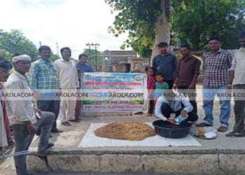 कृषी दुता