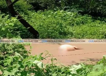 भांबेरी