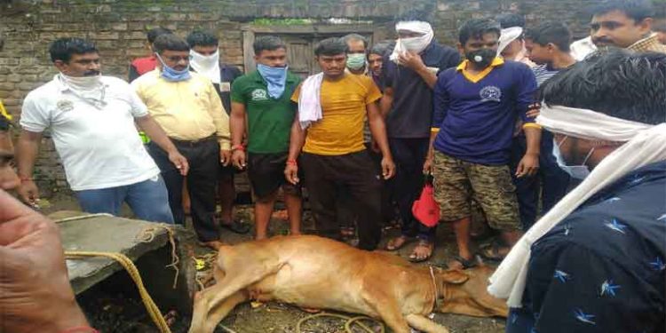 संत गाडगेबाबा