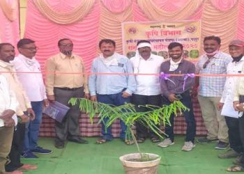 रानभाजी महोत्सव