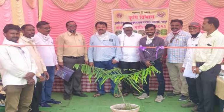 रानभाजी महोत्सव