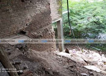 वाडेगाव