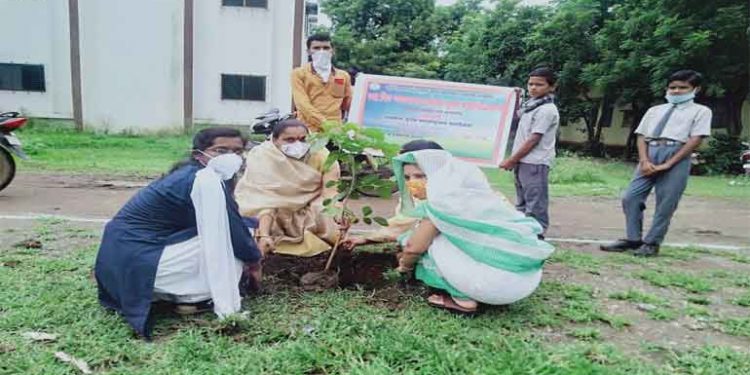 वृक्षारोपण