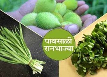 रानभाज्या महोत्सव