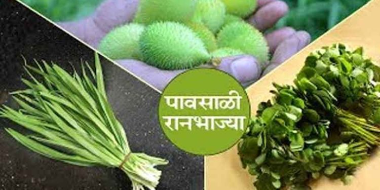 रानभाज्या महोत्सव