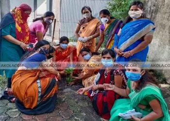 भाजपा महिला आघाडी