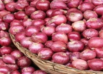 कांद्याने आणले शेतकऱ्यांच्या डोळ्यात अश्रू