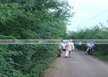 लोहारी बेलखेड रस्त्यावर काटेरी झुडुपांचे साम्राज्य ,बांधकाम विभाग काढणार का यामध्ये मार्ग !