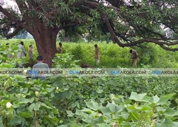 आत्महत्या