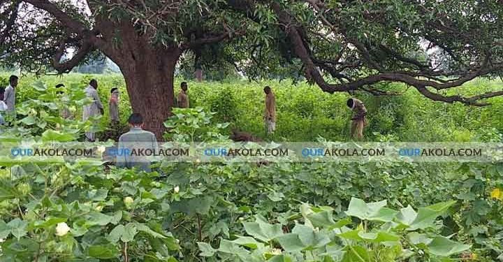 आत्महत्या