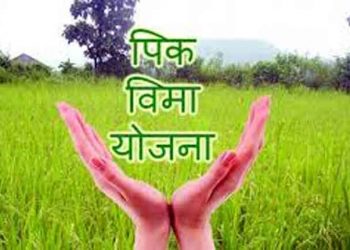 पिक विमा योजना