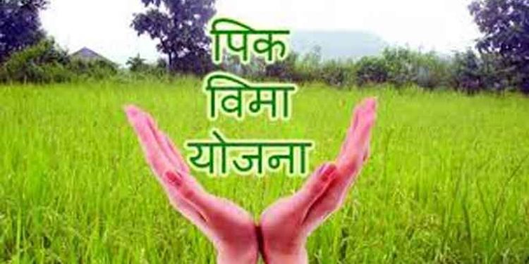 पिक विमा योजना