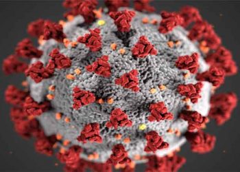 कांगो फीवर