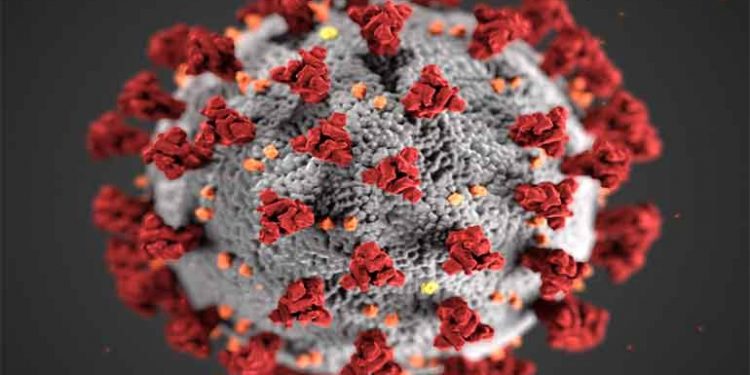 कांगो फीवर