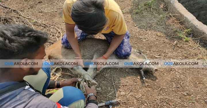 रेस्क्यू