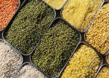 राष्ट्रीय अन्न सुरक्षा अभियान :अनुदानित दराने कडधान्य बियाण्याची उपलब्धता