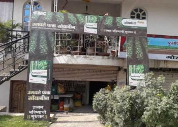 पातूर शहरात चोरट्यांचा बोलबाला,कृषी दुकानात मारला डल्ला