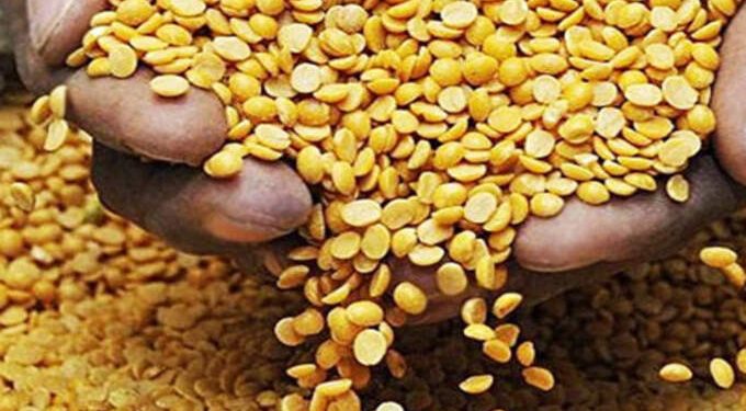 नाफेड मार्फत तूर खरेदी;ऑनलाईन नोंदणी सुरु