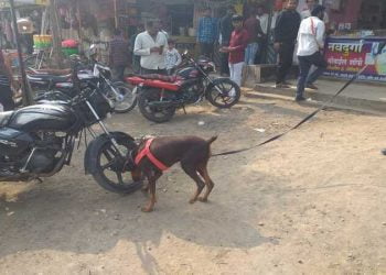 वाडेगांवात जबर दरोडा,दोन बँक, दोन ज्वेलर्स दुकान व एक हार्डवेअर दुकान फोडले