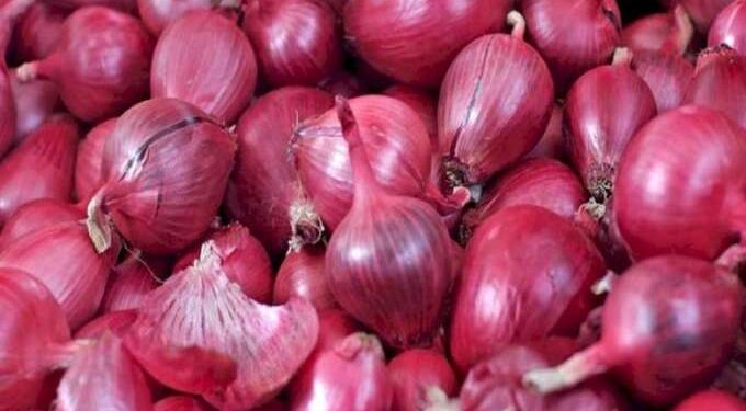 onion