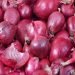 onion