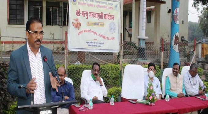 ‘अंडी,चिकन खाऊ चला!’ अकोल्यातून कृतिशील जनजागृती