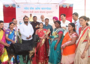 Goat bank of Karkheda
