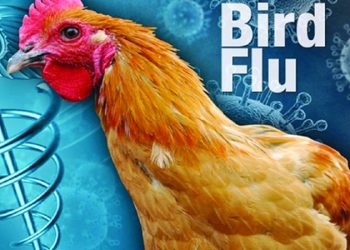 कोरोनामागोमाग देशावर ‘बर्ड फ्लू’चं संकट; ‘या’ राज्यांत सतर्कतेचा इशारा
