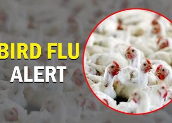 рдмрд░реНрдб рдлреНрд▓реНрдпреВ : рддреЗрд▓реНрд╣рд╛рд░рд╛ рддрд╛рд▓реБрдХреНрдпрд╛рддреАрд▓ рдордирдмреНрджрд╛ рд╕рд░реНрддрдХ рдХреНрд╖реЗрддреНрд░ рдШреЛрд╖рд┐рдд