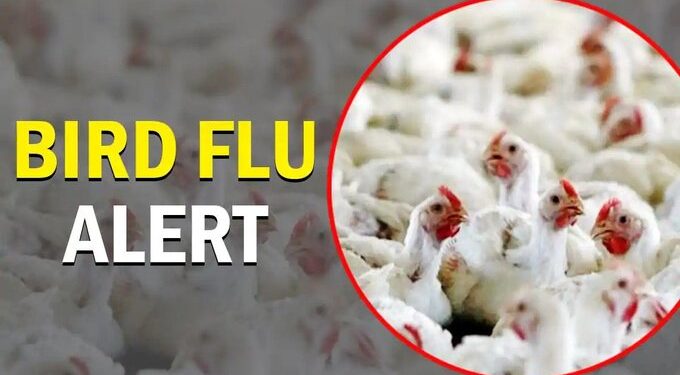 बर्ड फ्ल्यू : तेल्हारा तालुक्यातील मनब्दा सर्तक क्षेत्र घोषित