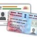 एका SMS वर लिंक करु शकता Aadhaar आणि PAN; कसे ते जाणून घ्या