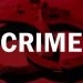 crime news